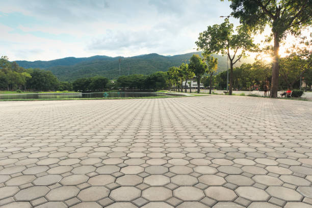 Best Driveway Pavers Near Me  in Lake Dunlap, TX