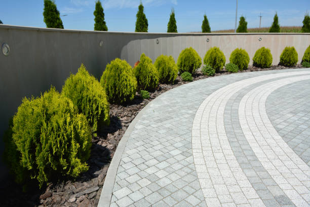 Best Affordable Driveway Paving  in Lake Dunlap, TX
